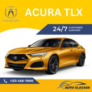 Acura TLX Mileage Stopper
